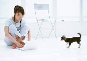 エキゾチックアニマルの診療にも対応