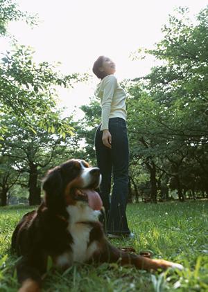 有名店でウエスティーの子犬に出会う